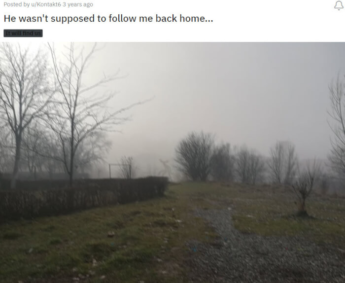 13. I don't know what it is, but it's quite scary.