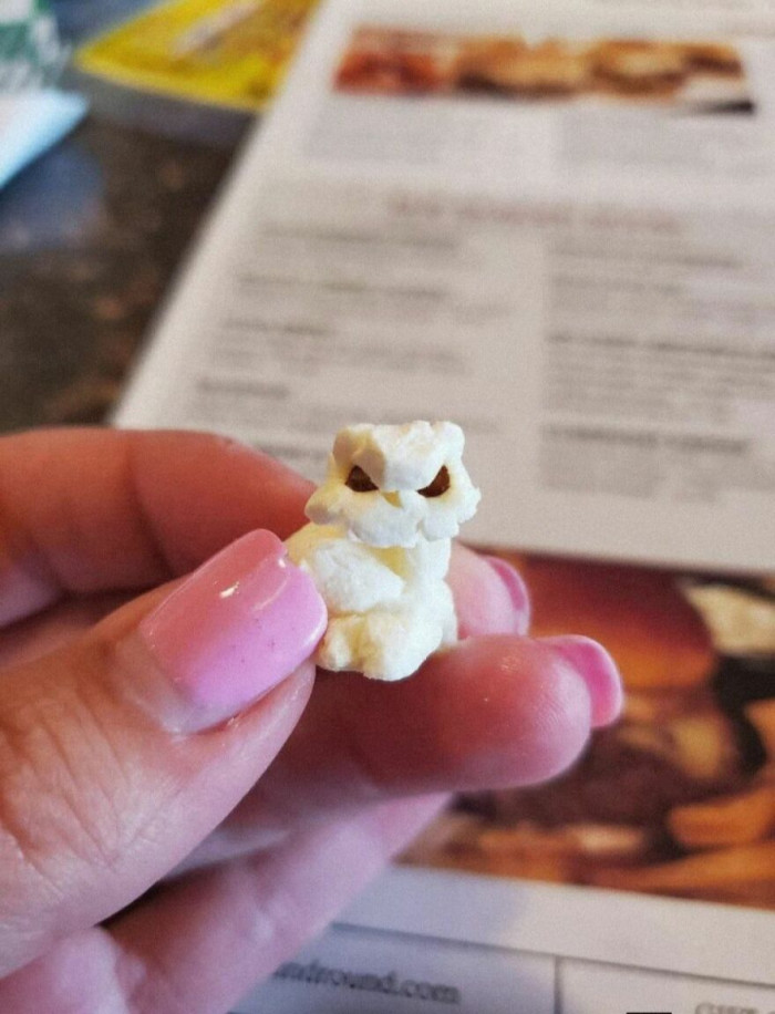 'I Found An Owl In My Popcorn!'