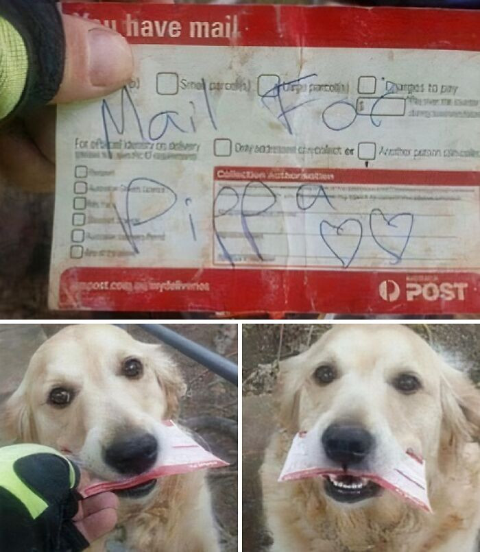 "Pippa Always Comes Out For The Daily Delivery. But When There's No Mail Or Her, I Have To Improvise"