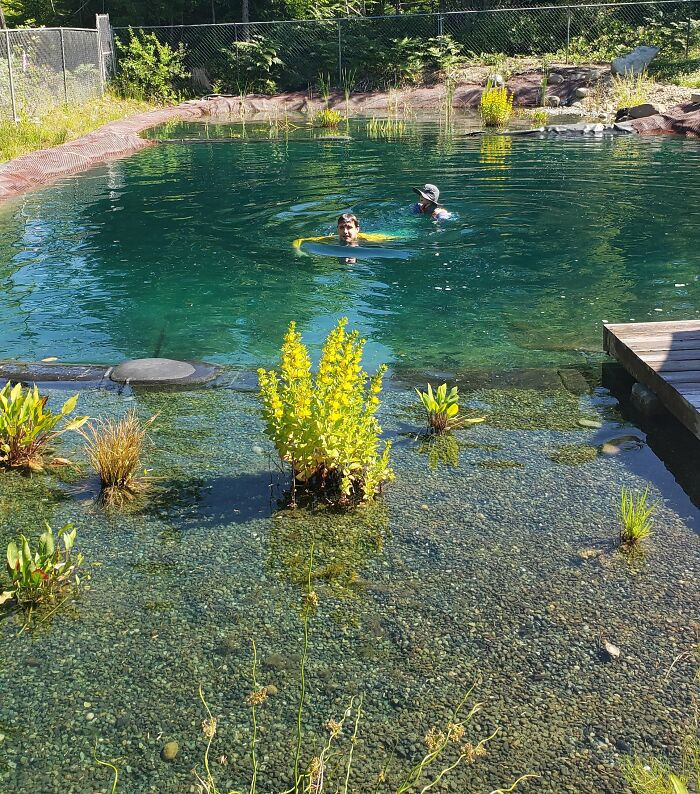 Natural swimming pool for large backyard ideas.