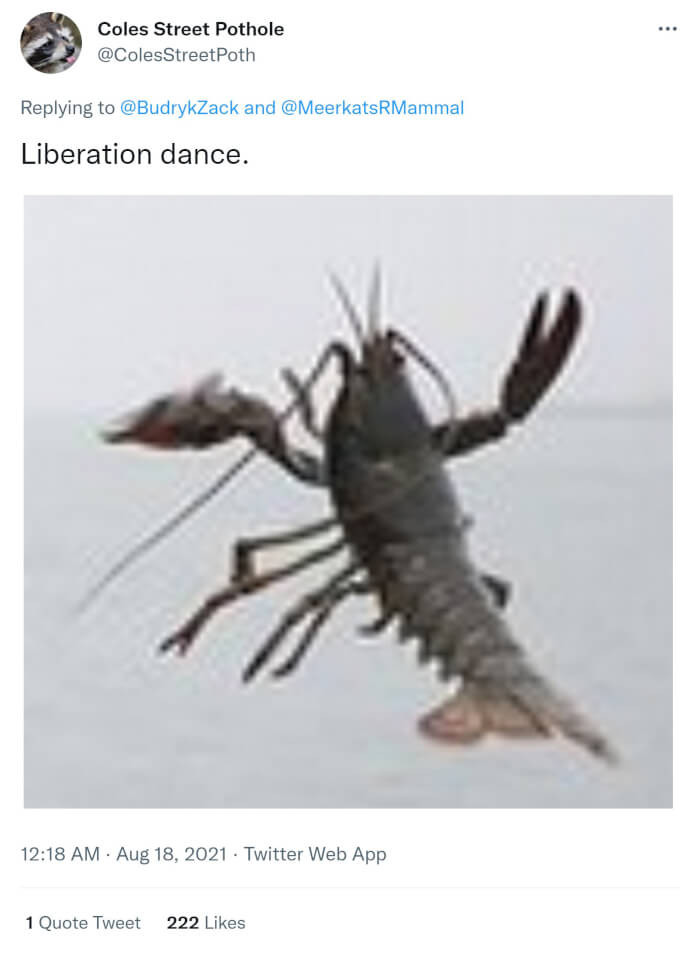 11. The Power of Liberation through Dance