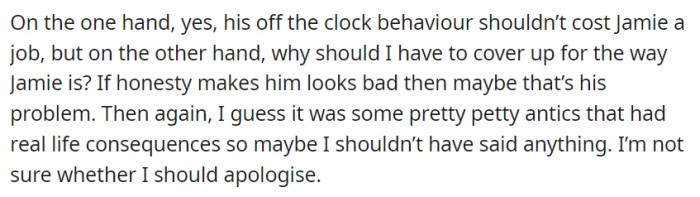 OP wrestles with whether to apologize for their honesty about Jamie's behavior, torn between speaking out and the consequences of staying silent.