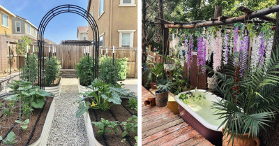 Easy And Affordable Ways To Give Your Backyard The Attention It Deserves