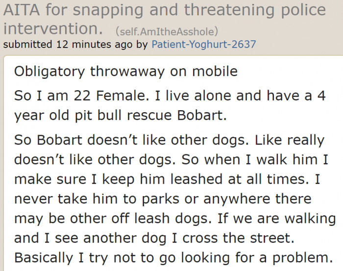 The OP gives some background information about her rescue dog.