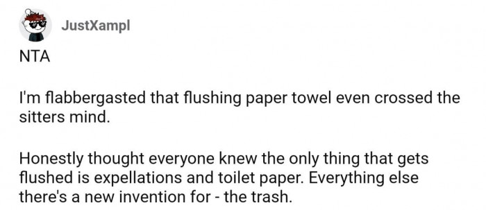 The only things that should be flushed are toilet paper and bodily waste