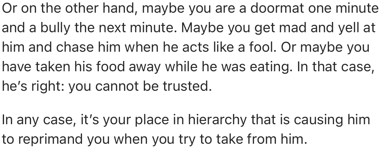 In Conclusion, This User Has Advised OP to Take Their Place as the ‘Alpha’ If They Want to Gain Respect from the Dog