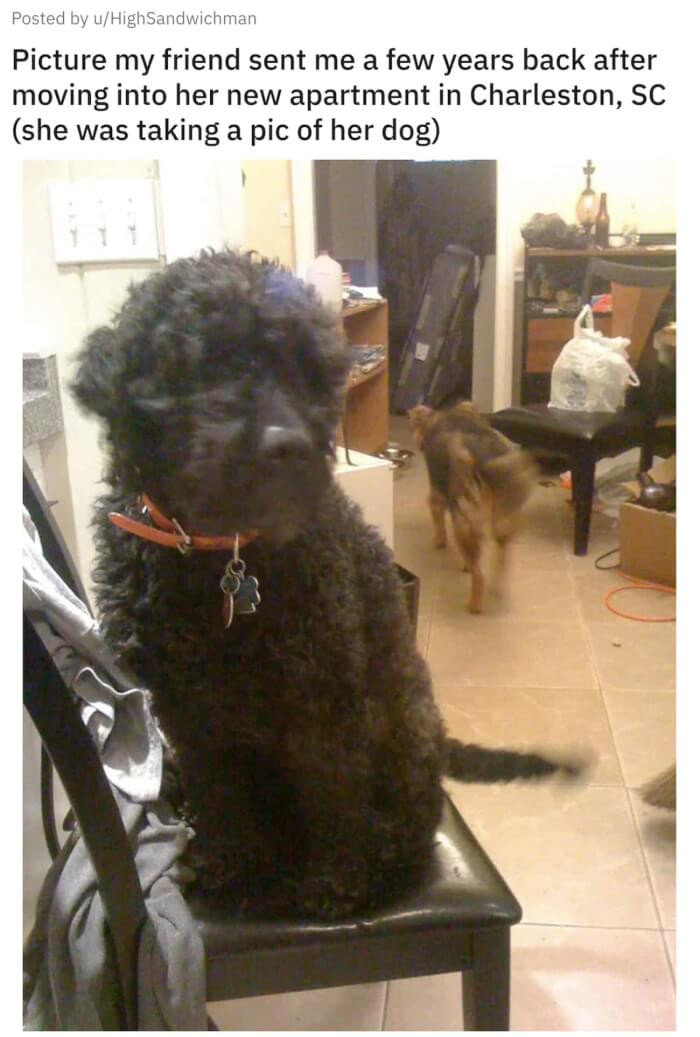 12. Lurking in the Background