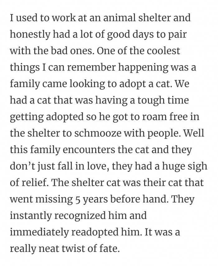 21. The cat knew his family will find him.