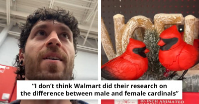 Walmart Unintentionally Sparks Internet Frenzy After TikToker Goes Viral For Spotting ‘Gay’ Christmas Decor On Its Aisles