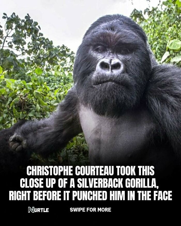 Too Close for Comfort