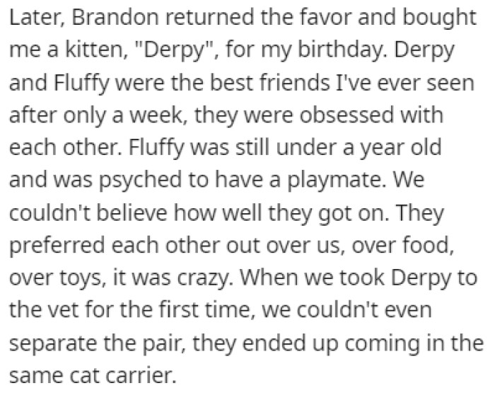 Brandon returned the favor and bought OP a kitten
