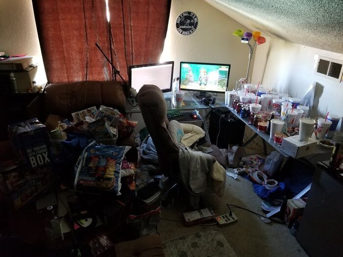 "A Streamer's Respectable Nest"