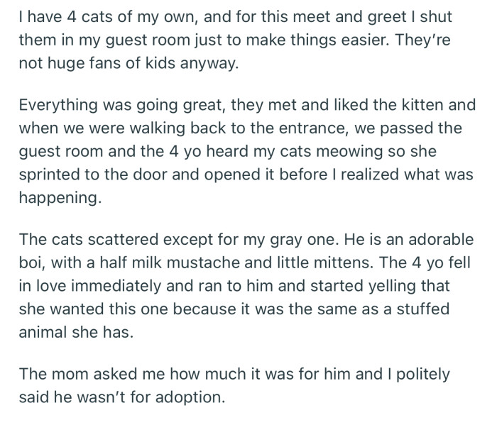 Apparently, the kid fell in love with OP’s cat, but they weren’t willing to sell it for any price