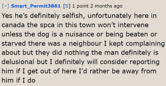 The OP already tried complaining to animal control, but to no avail.