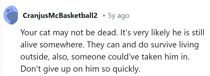 The cat is likely out there, living the 'purrfect' getaway or conning treats from another sucker.