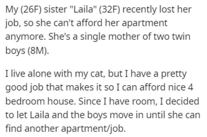 OP's sister, Laila, recently lost her job, so OP let her and her twin boys move in with her