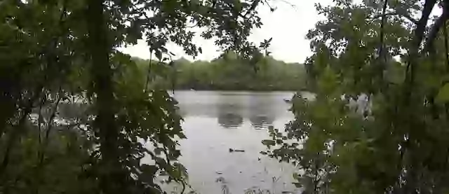 A body was reported to the police on June 3.