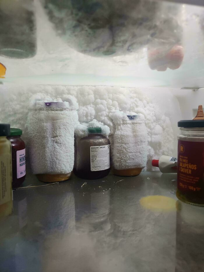 "I Forgot Some Things In The Back Of The Fridge And Now My Fridge Won't Give Them Back"