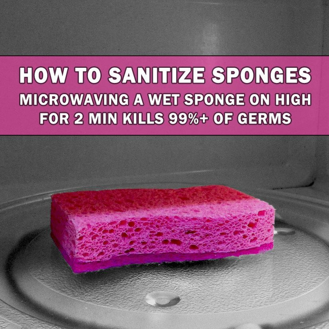 Sponge sanitizer