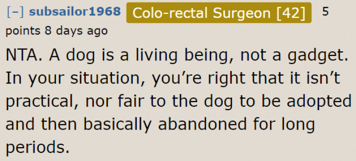 The daughter still doesn't understand the responsibility of a dog owner.