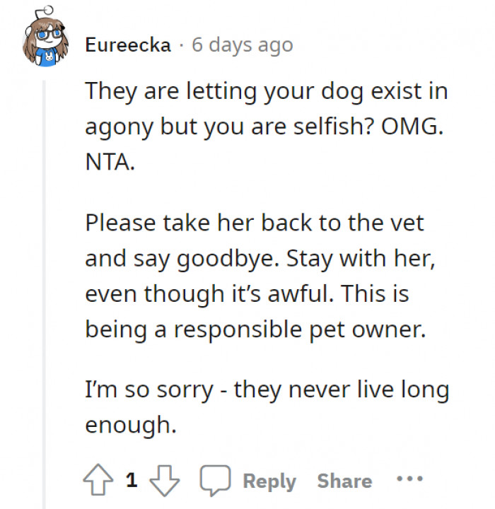 OP, you’re not the one being selfish—they are being selfish for still holding on to your dog. Be a responsible pet owner.