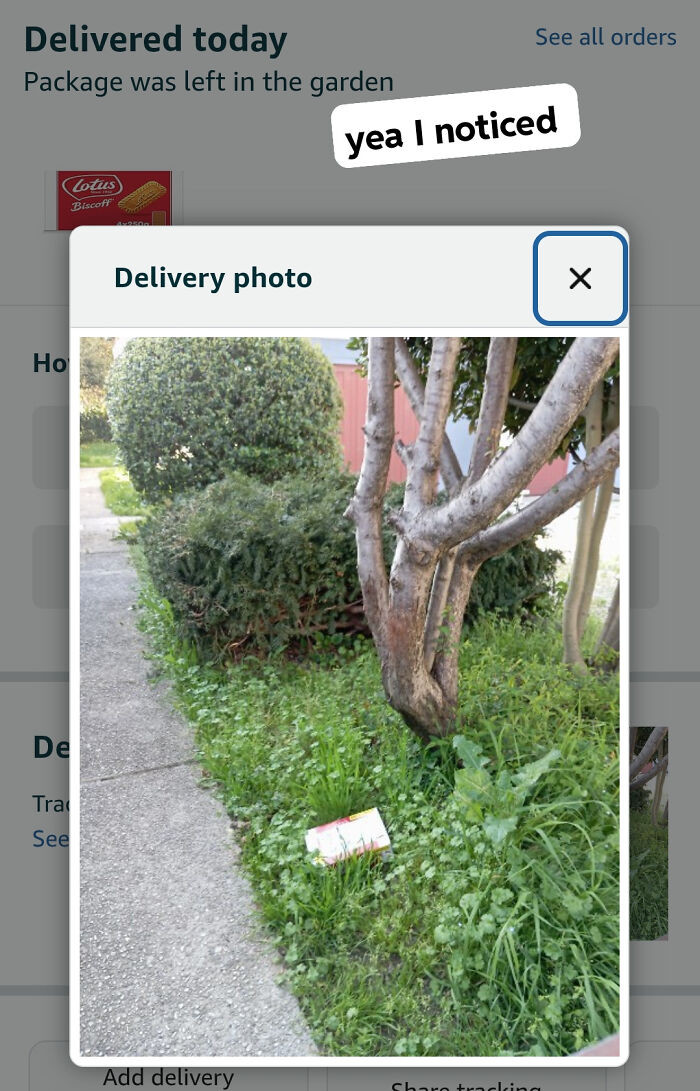 "Wow, Amazon Is Next Level"