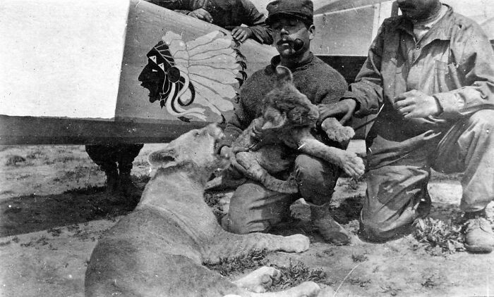 "Pilots From Lafayette Escadrille With Two Mascots Lions Whiskey And Soda, 1916/1917"