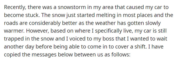 Their car was stuck due to a snowstorm, and they informed their boss about wanting to wait one more day before returning to work, sharing the messages exchanged between them.