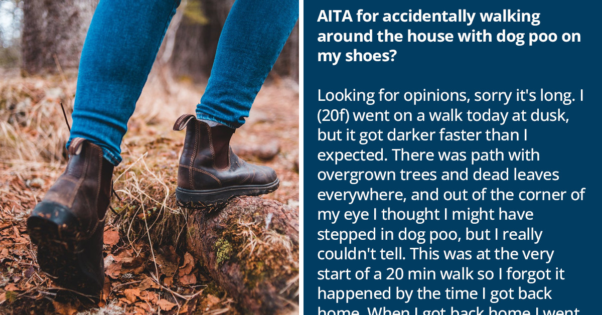 Woman Gets An Earful From Her Very Upset Sister After She Walks Inside Her Home With Dog Poo On Her Shoe