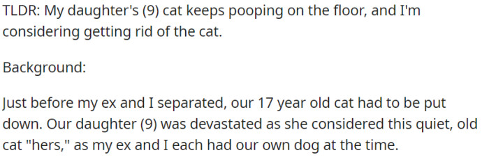 After the passing of their 17-year-old cat, which their daughter considered her own, OP is now grappling with the issue of their new cat repeatedly soiling the floor, prompting thoughts of rehoming the cat.