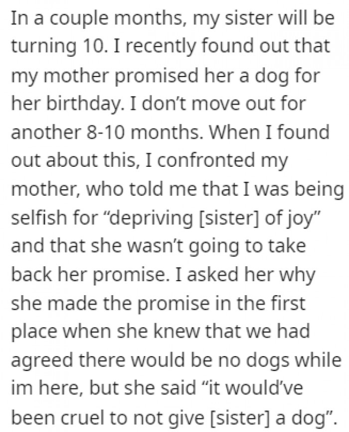 OP recently found out that they would get her sister a puppy for her birthday, which enraged OP