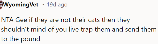 If they don't own the cats, they shouldn't mind if OP traps them and takes them to the pound.