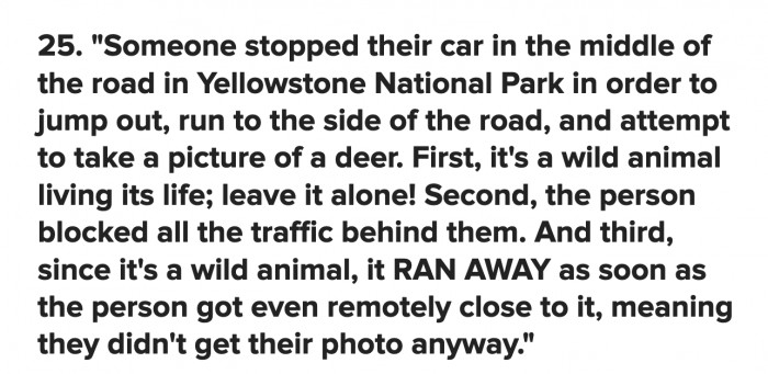 How can you think this will work? Are you a Disney princess?