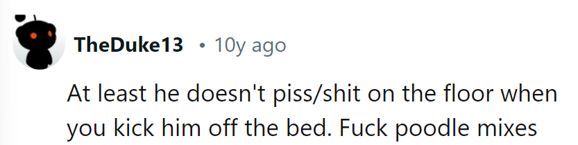 Bed kicked, but no mess left. Poodle mixes: revenge masters!