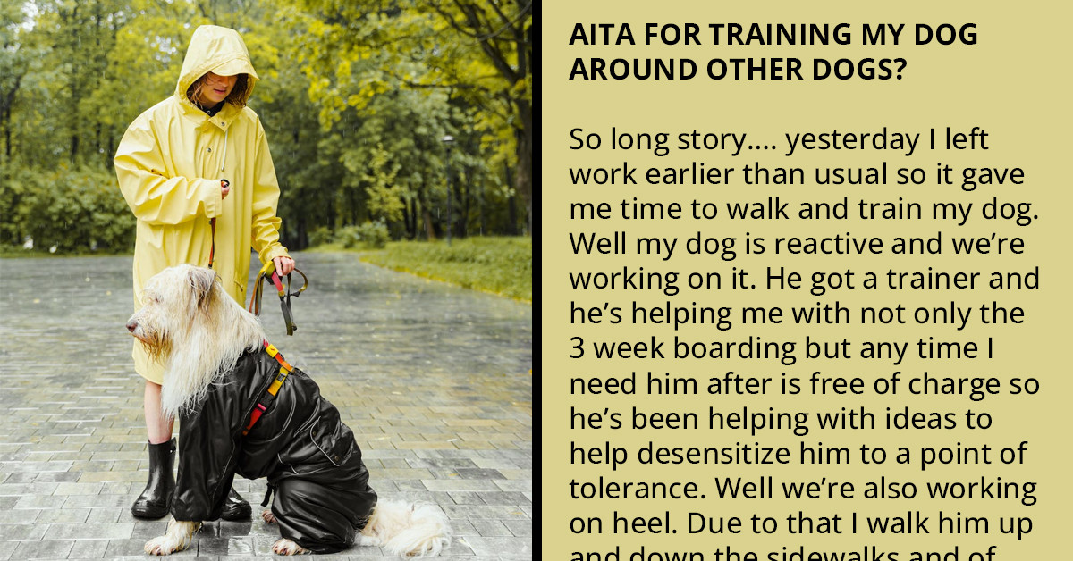 Redditor Asks If It Is Wrong To Train A Reactive Dog Outside, Around Other Dogs