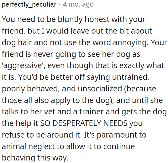 OP could make it clear that she won't be around the dog until she consults a vet and a trainer to address its behavior.