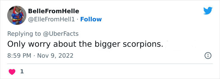 Sorry to say, but all scorpions are extremely scary.