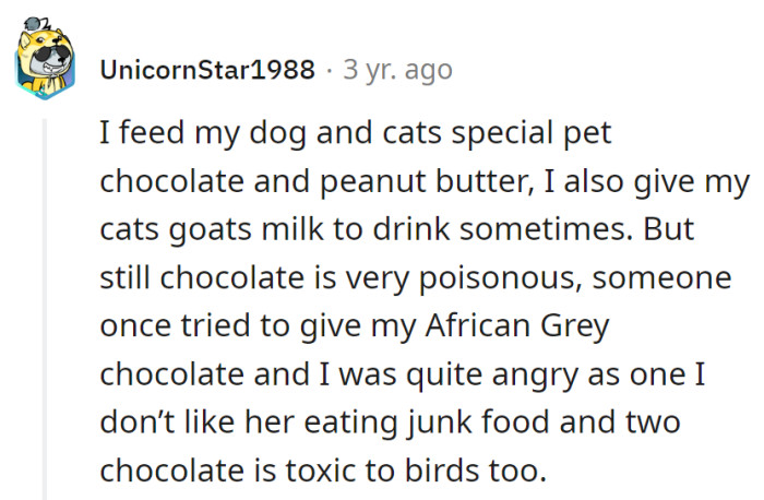 VIP pet treats: a must for the furry fam! Chocolate for birds? It's a 'no-treat zone'—they prefer their food without a side of emergency vet visits.