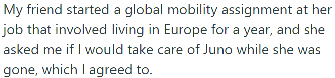 OP agreed to take care of Juno, her friend's pet, during her year-long assignment in Europe.