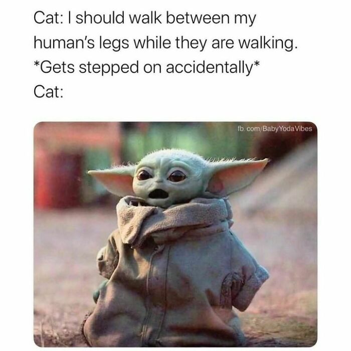 44. How could you?