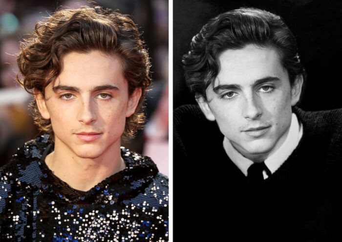 11. Timothée Chalamet