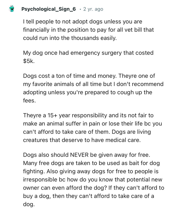 “I Tell People Not to Adopt Dogs Unless You Are Financially in the Position to Pay for All Vet Bills.”