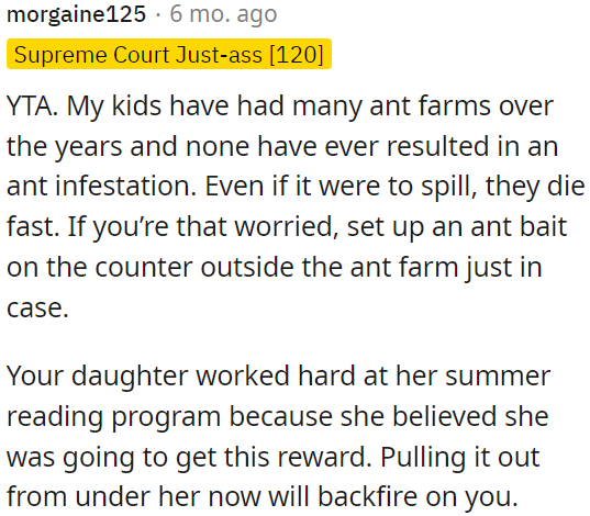 Ant farms don't lead to ant infestations, and even if they spill, the ants die quickly.