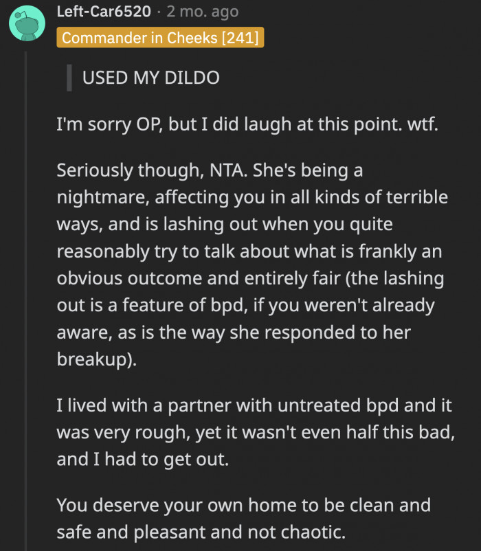Although some of her sister’s behavior is caused by her mental disorder, OP doesn’t deserve to bear the brunt
