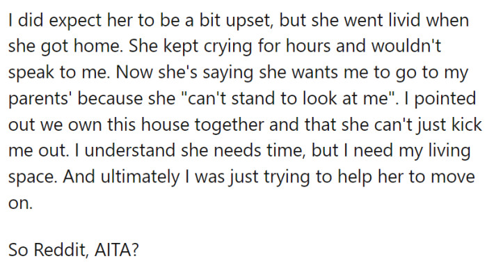 Driven by frustration and a desire to reclaim his living space, OP took matters into his own hands while his wife was at work.