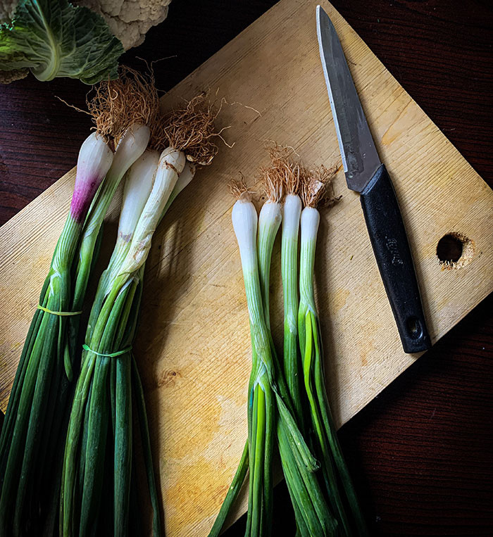 Spring onions and similar grassy onions.