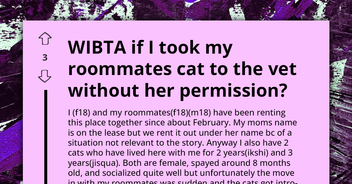 Woman Considers Neutering Roommate's Cat Without His Consent, Doubts His Pet Care Skills