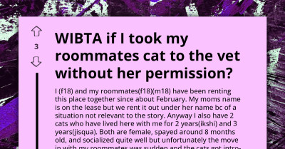 Woman Considers Neutering Roommate's Cat Without His Consent, Doubts His Pet Care Skills