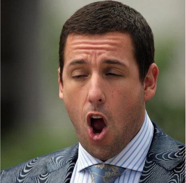 3. Adam Sandler