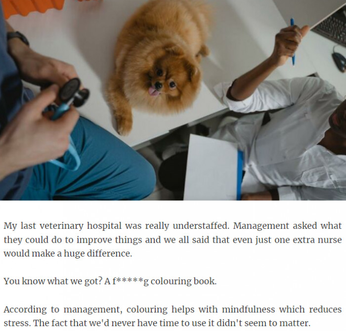 12. A veterinary hospital that is severely understaffed